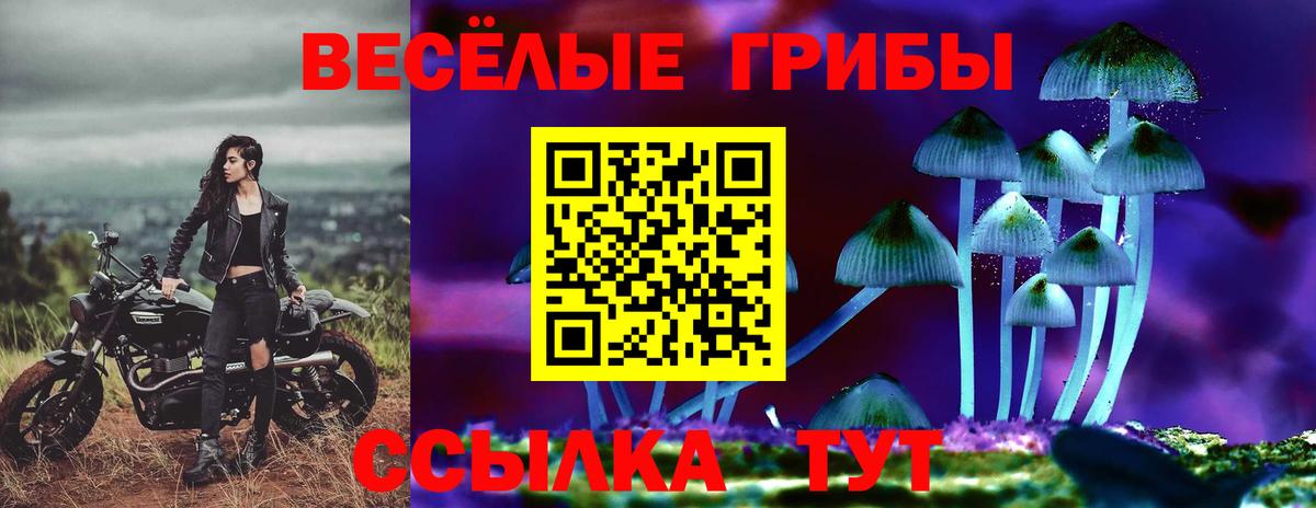 Галлюциногенные грибы ЛСД Новотроицк